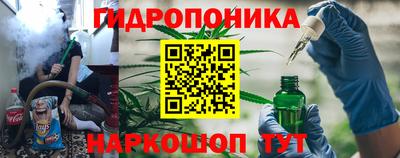 стафф Свободный