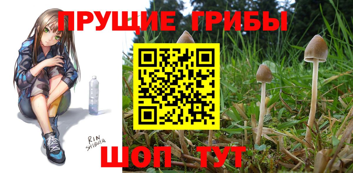Галлюциногенные грибы мицелий Реж